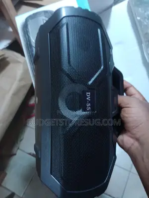 Hifi Wireless Bass Speaker