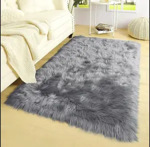 Home Rugs and Carpet