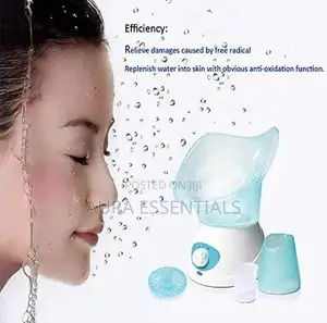 3 in 1 Facial Steamer