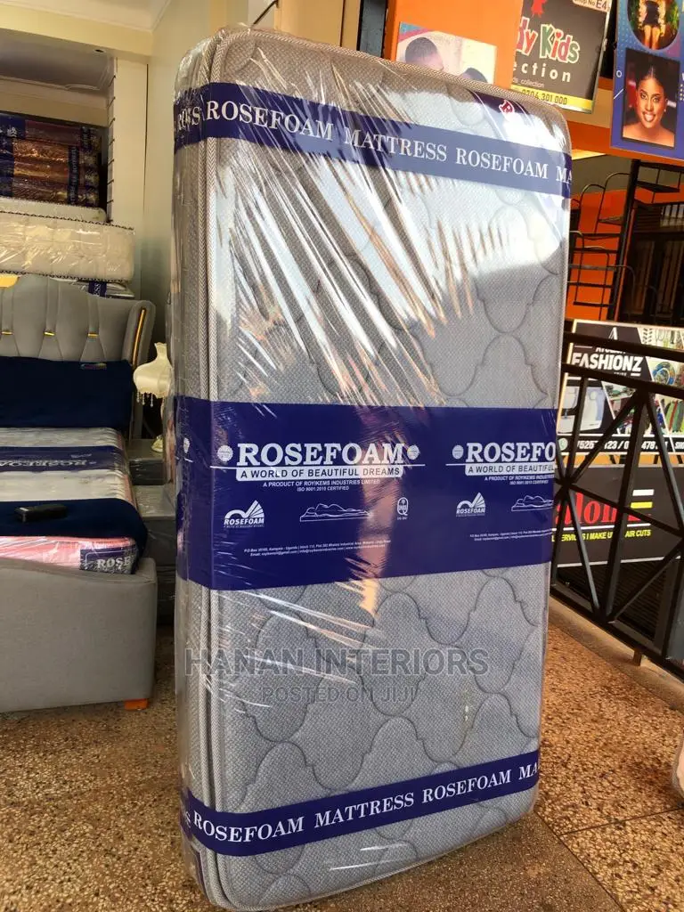 4*6/10inch Double Layer Spring Mattress