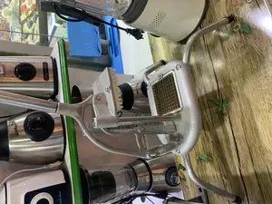 Heavy Duty Commercial Chips Cutter