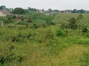Mukono Katosi Plots