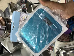 Classic DSP Kitchen Scale