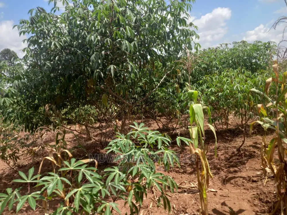 Land in Zirobwe Kyetume on Quick Sale