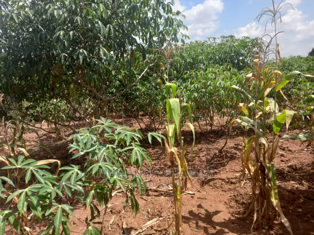 Land in Zirobwe Kyetume on Quick Sale