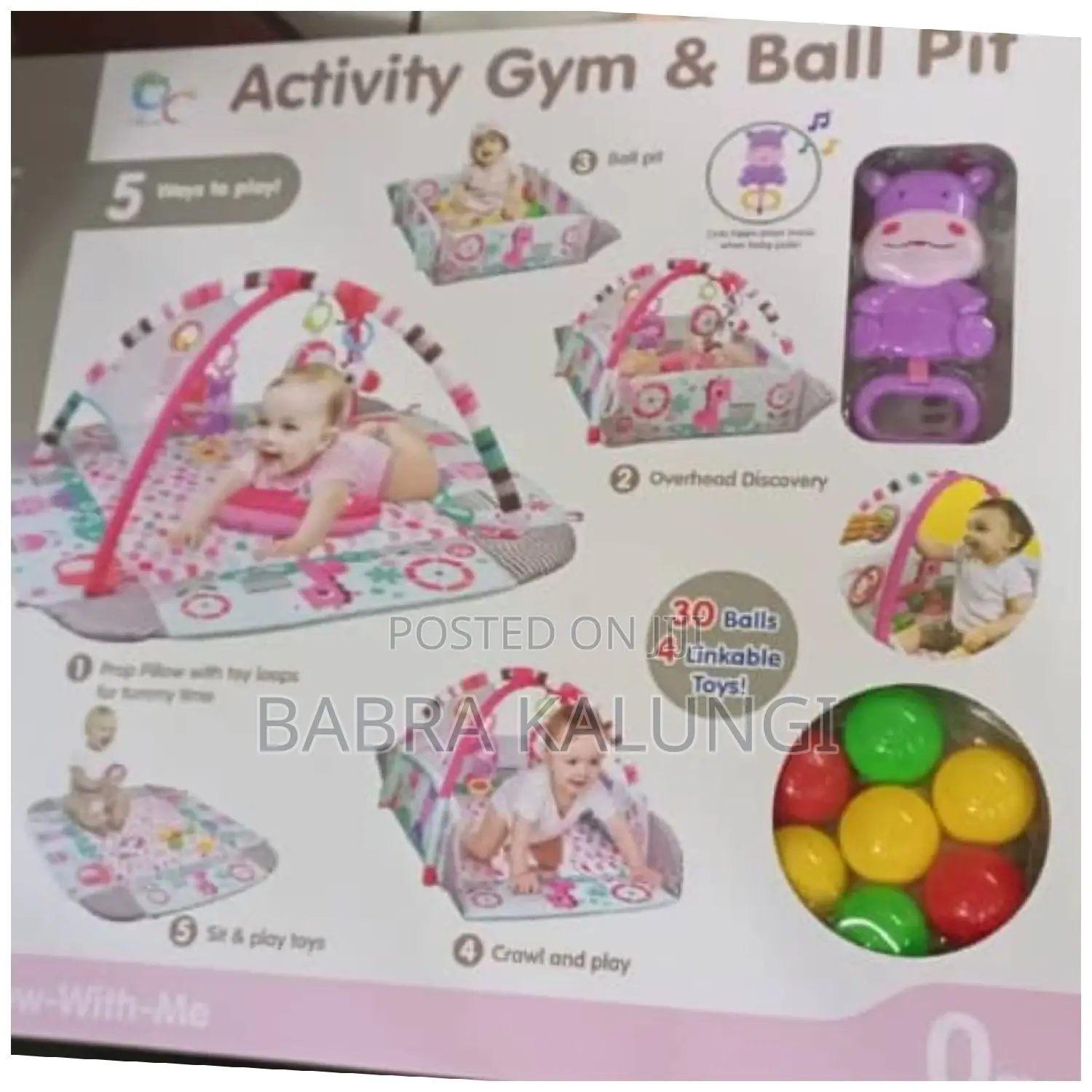 Baby Activity Gym and Ball Pit