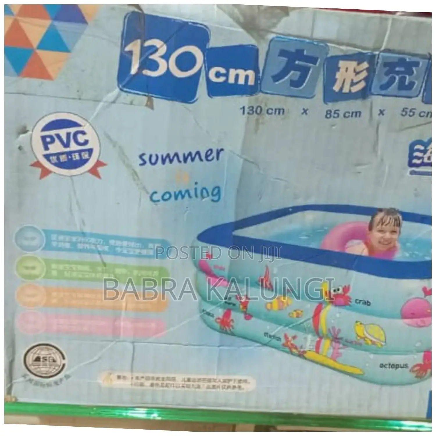 Portable Swimming Pool