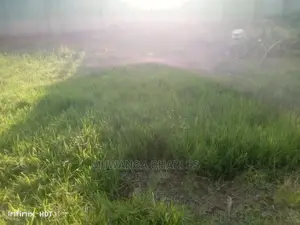 21decimals of Land in Kyanja Kungu on Quick Sale