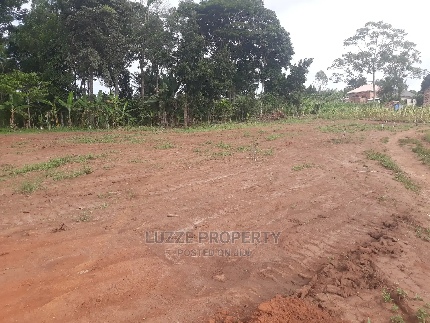 Agreement Plots for Sale in Kisamula on Mitiyana Road