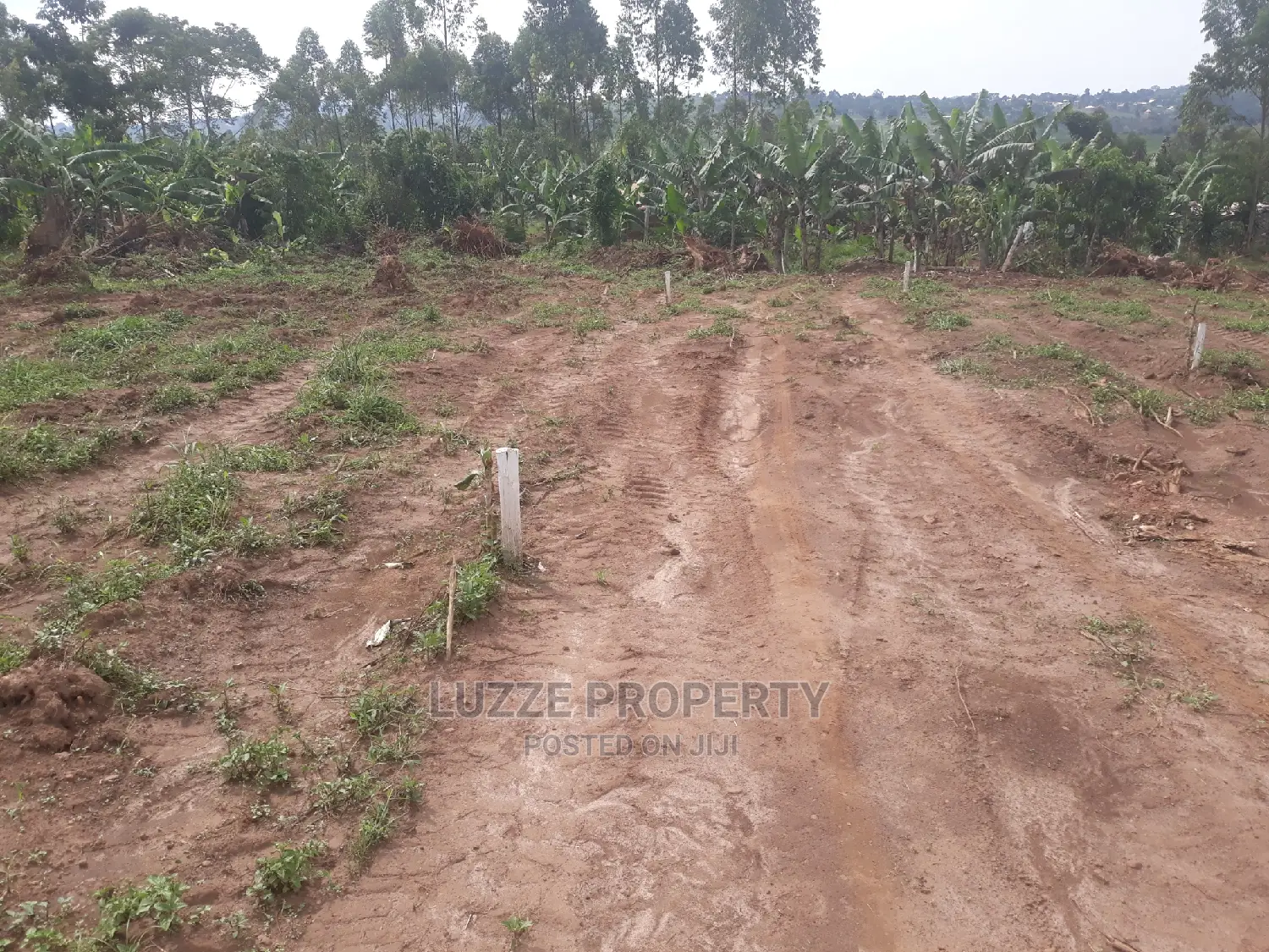 Agreement Plots for Sale in Kisamula on Mitiyana Road