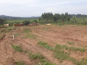 Agreement Plots for Sale in Kisamula on Mitiyana Road
