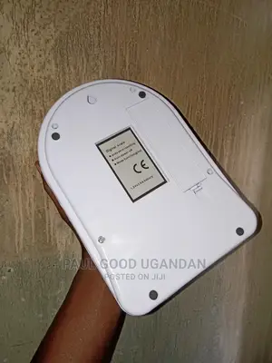 Sf 10kg Digital Scale