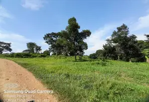 100acres of Fertile Land for Sale at Busunju Along Hoima Rd.