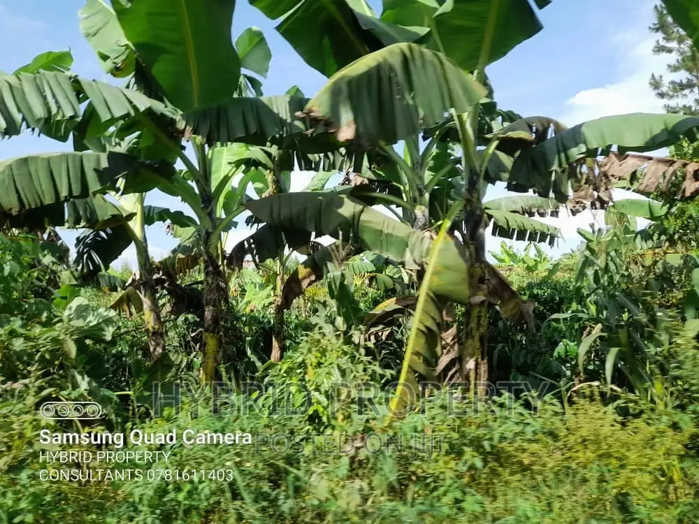 100acres of Fertile Land for Sale at Busunju Along Hoima Rd.