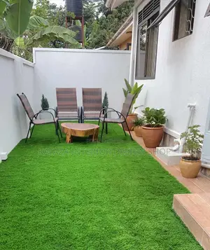 Grass Carpet (Artificial Turf)/Grass Carpet