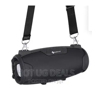 New Rixing Portable Rechargeable Bluetooth FM/SD/USB Speaker