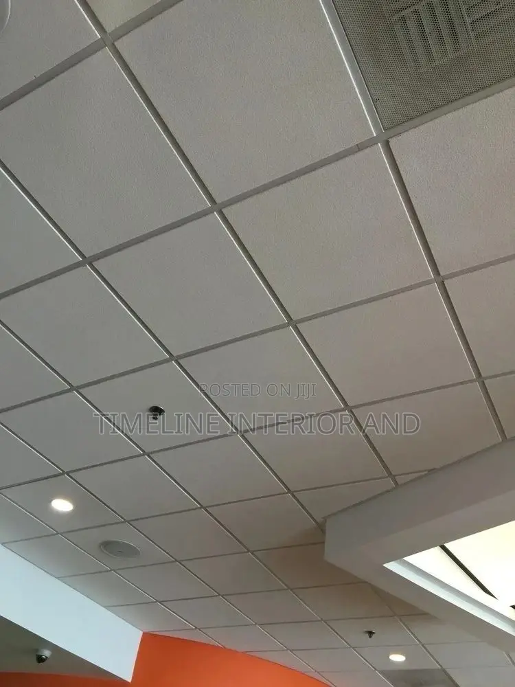 Gypsum and Suspended Ceiling