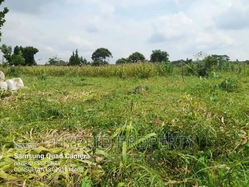 100acres of Fertile Land for Sale at Busunju Along Hoima Rd.