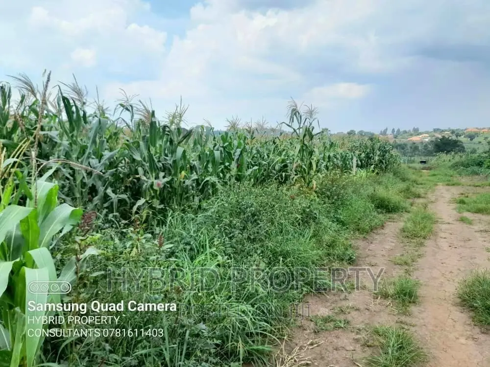 100acres of Fertile Land for Sale at Busunju Along Hoima Rd.