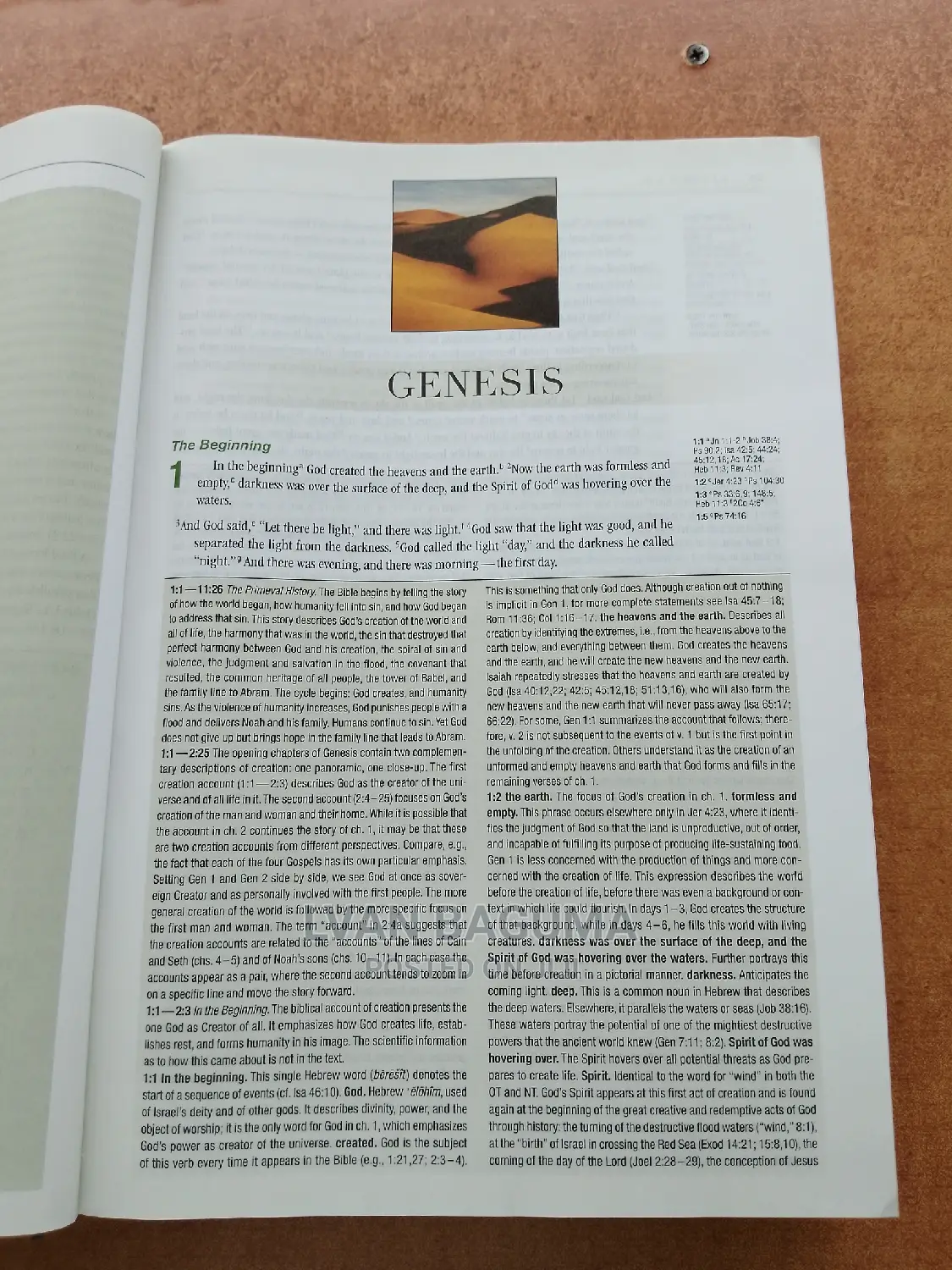 NIV ZONDEVAN Study Bible - Large Print