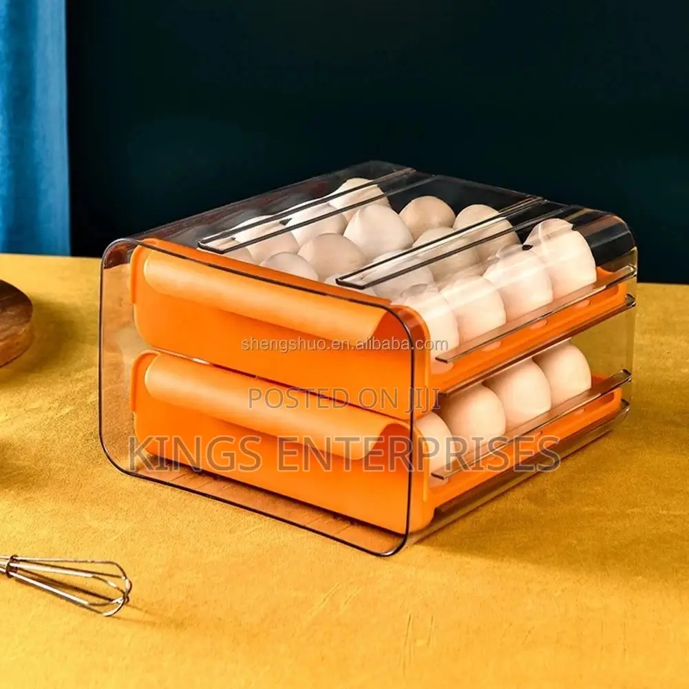 Double Layer Refrigerator Egg Storage