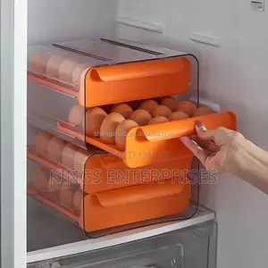 Double Layer Refrigerator Egg Storage
