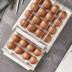 Double Layer Refrigerator Egg Storage
