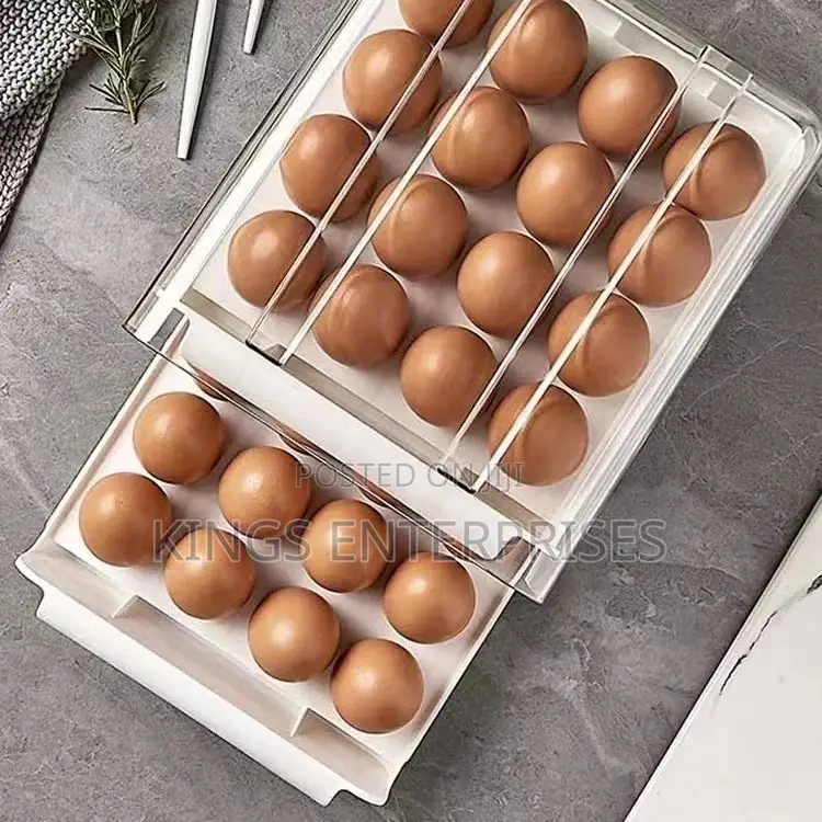 Double Layer Refrigerator Egg Storage