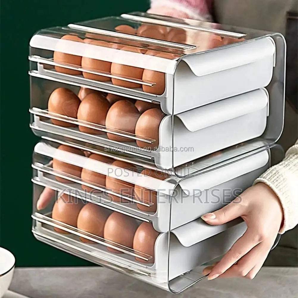 Double Layer Refrigerator Egg Storage