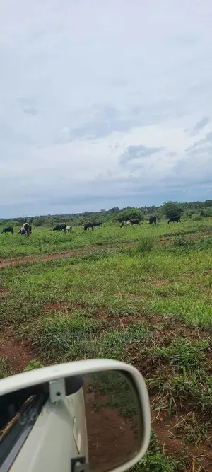 Land for Sell in Ngomanene Gomba Rd50x100 With Ready Land Title