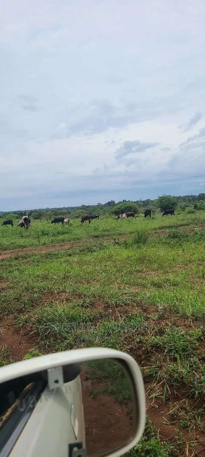 Land for Sell in Ngomanene Gomba Rd50x100 With Ready Land Title