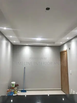 Gypsum Plain and Painted Ceiling