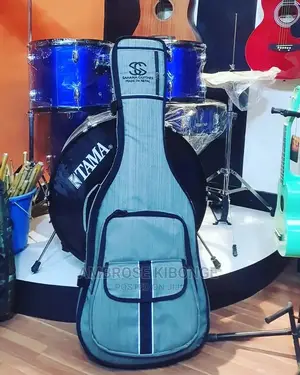 High Quality Double Padded Guitar Bag for All Box Guitars