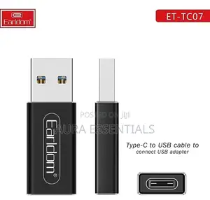 Type C to USB Converter