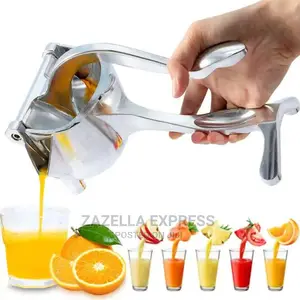 Photo - Manual Juicer Stainless Steel