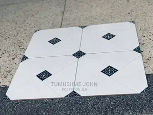 Veranda Tiles and Bathroom Tiles