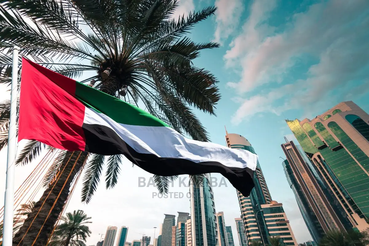 2 Year Freelance Employment Visa UAE