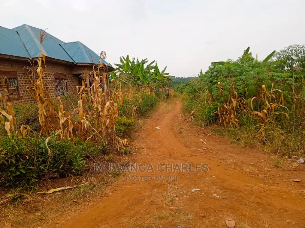 Plot's in Matugo Kigogwa on Quick Sale