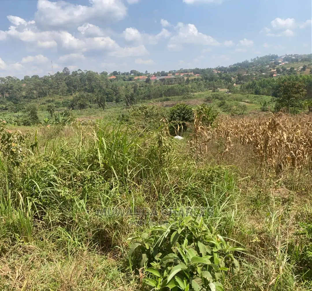 1acre of Land in Kira Kiwologama on Quick Sale