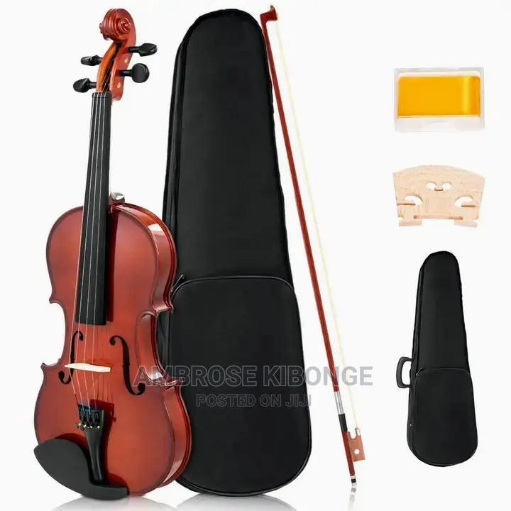 Top-Quality Generic Professional 4/4 Full Size Violin