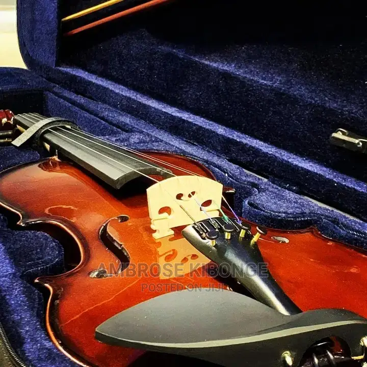 Top-Quality Generic Professional 4/4 Full Size Violin