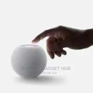A Homepod Mini Gray