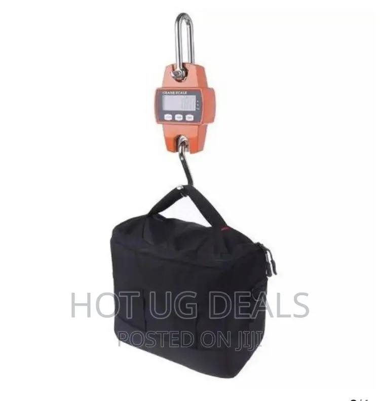 Crane 300 Kgs Cast Iron Weighing Scale With Digital Screen