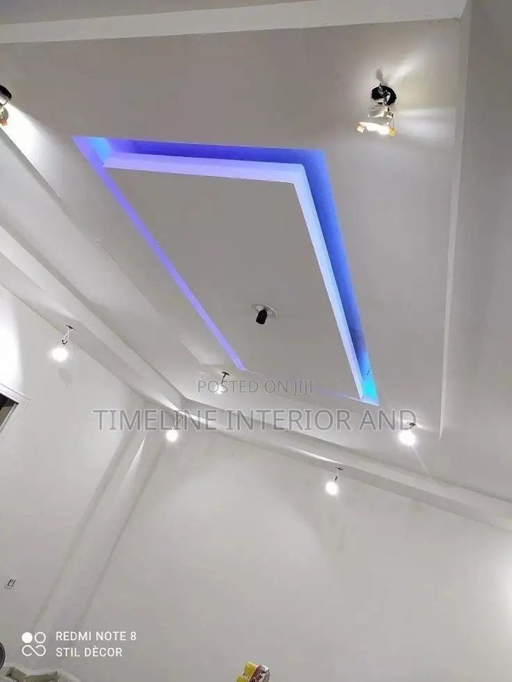 Pro Gypsum Ceiling.
