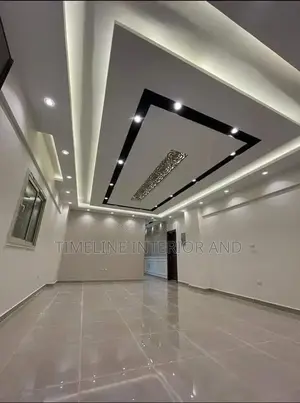 Pro Gypsum Ceiling.