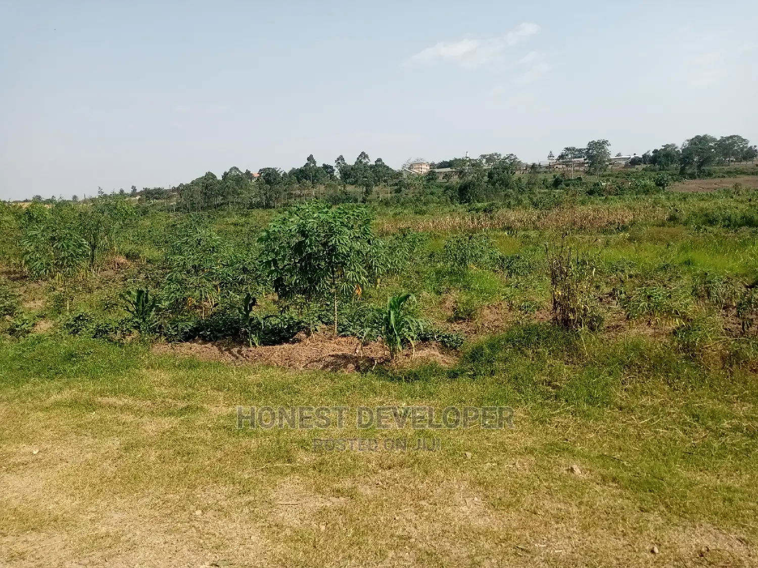 Land at Kikubampanga 50/100