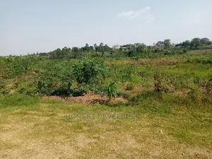 Land at Kikubampanga 50/100