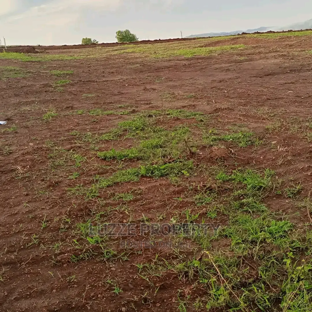 Titled 50*100 Plots for Sale in Bujjuko Jamir Estate