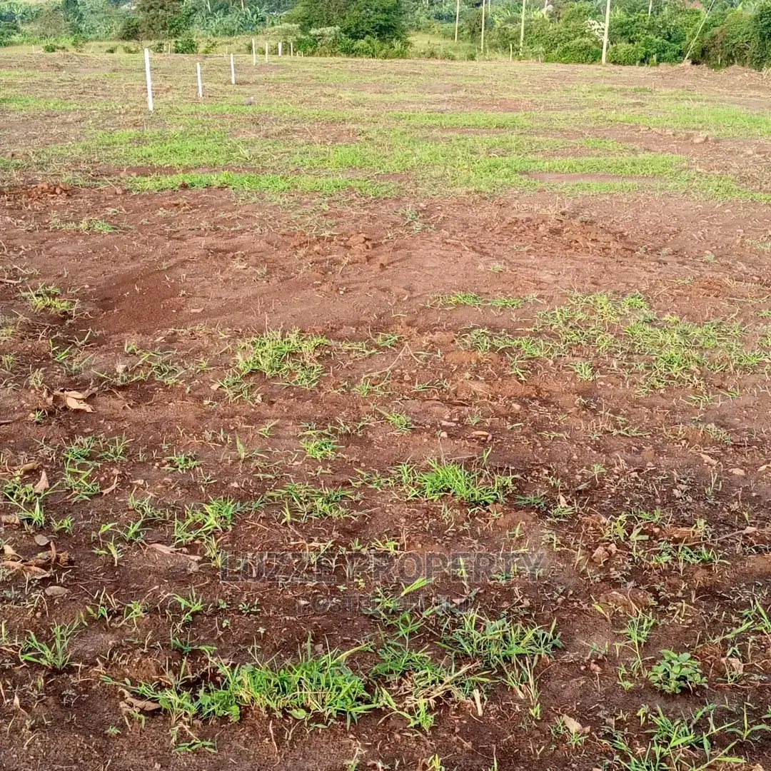 Titled 50*100 Plots for Sale in Bujjuko Jamir Estate