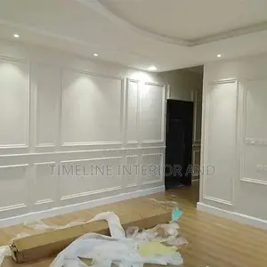 Extremely Wall Molding and Panels.